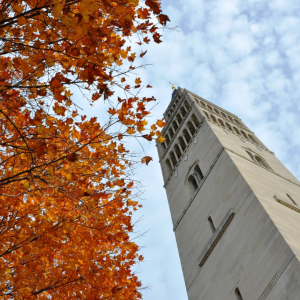 Fall Basilica 