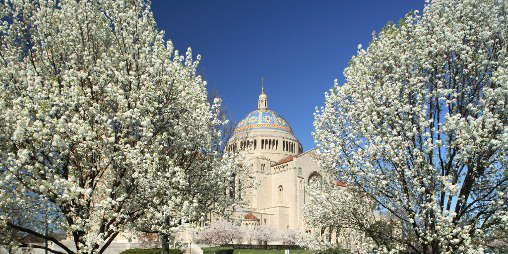 Basilica exterior with blossoms