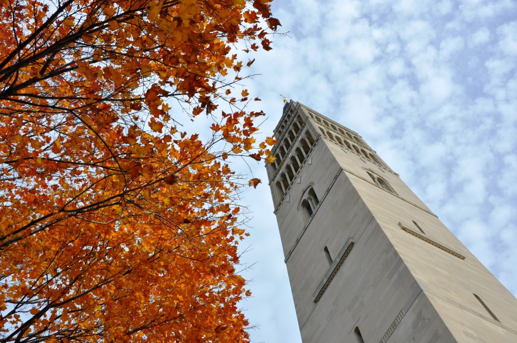 Knights Tower Fall colors