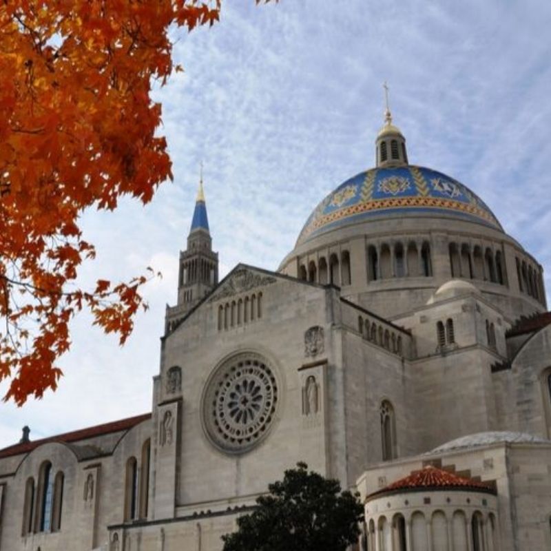 fall at the basilica