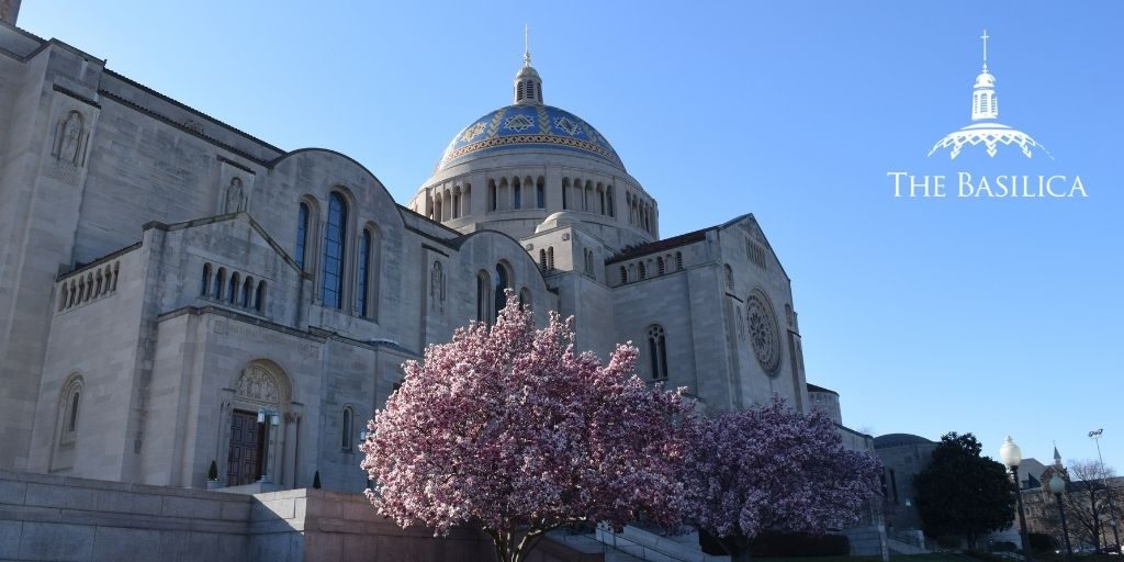 basilica with spring blooms