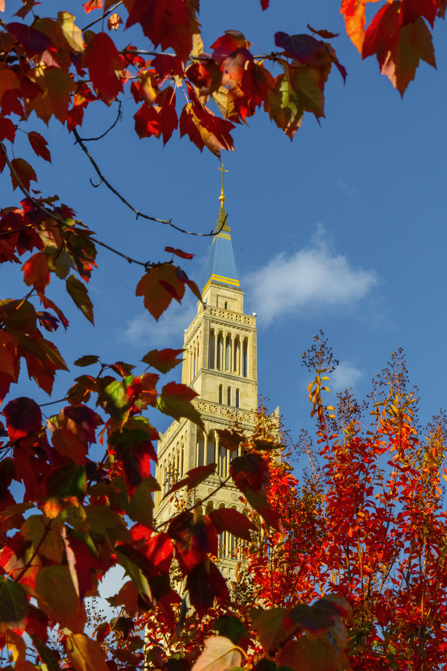 Basilica Knights Tower Fall leaves 