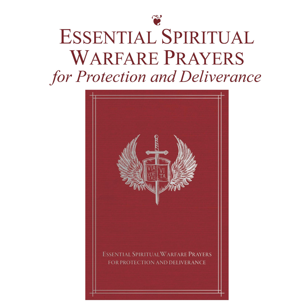 Book cover for spiritual warfare book
