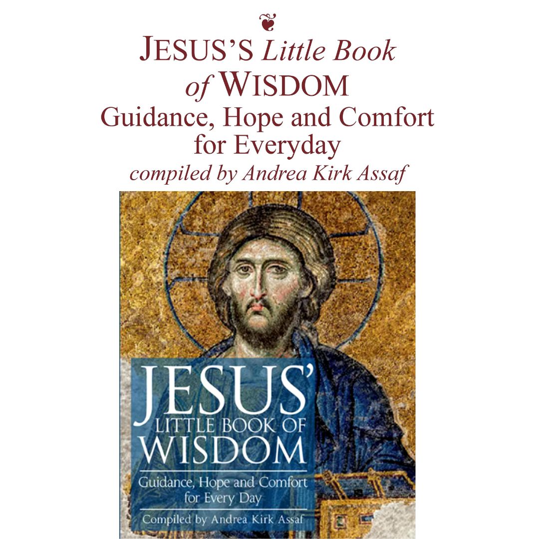 A Book Cover of Jesus' Little Book of Wisdom