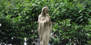 Mary Statue in Garden