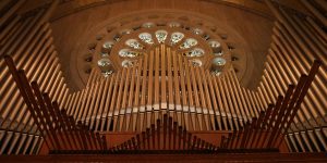 The pipes of the Great Upper Church organ with the Rose window in the background