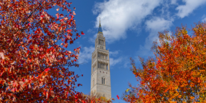 Knights Tower with Fall Leaves