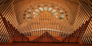 The pipes of an organ