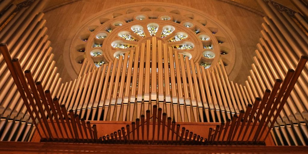 The pipes of an organ