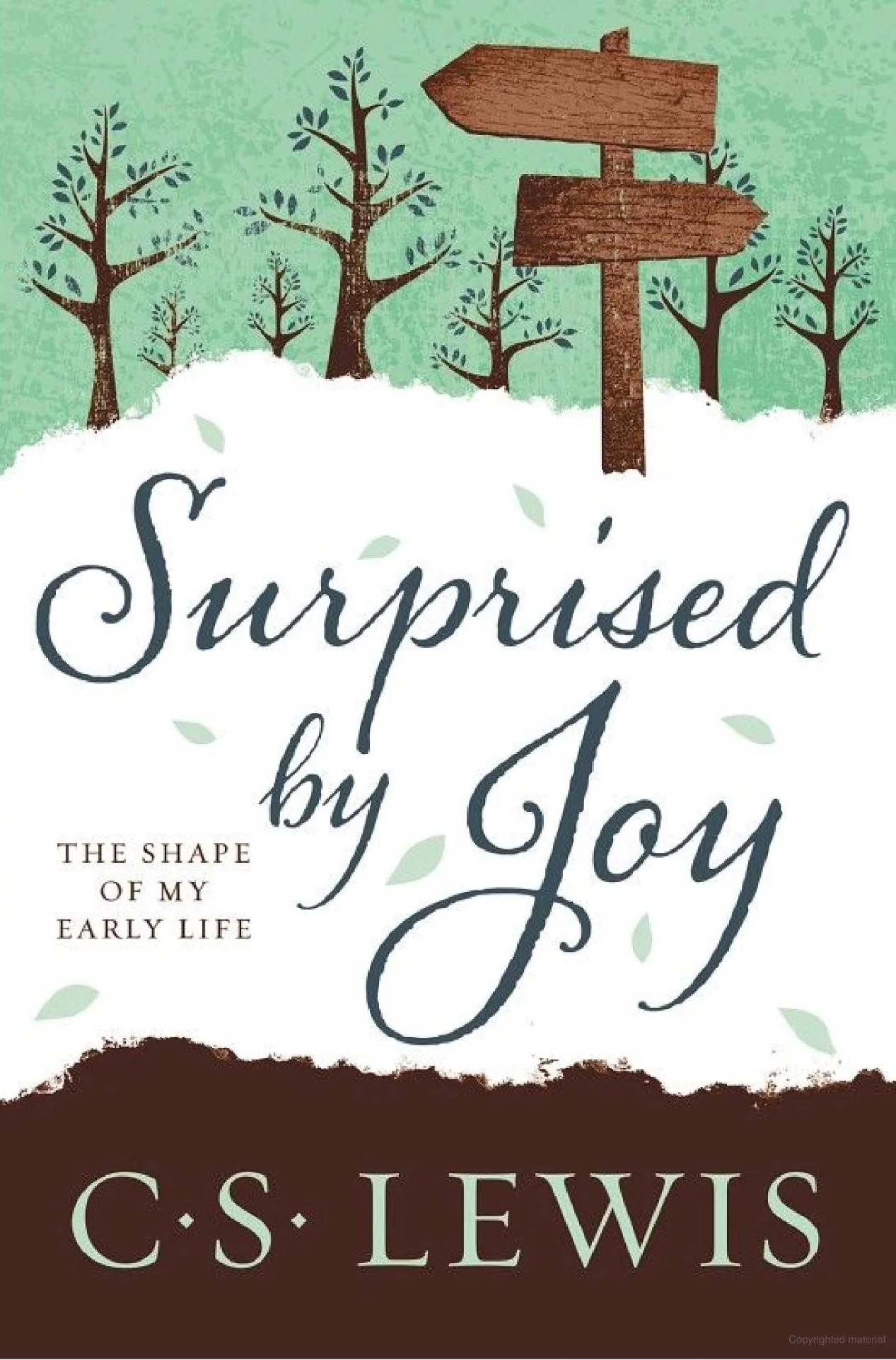 Surprised by Joy 