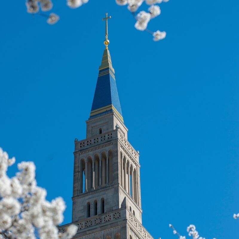 knights tower in spring