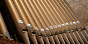 organ pipes