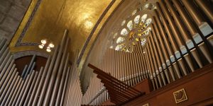 organ banner